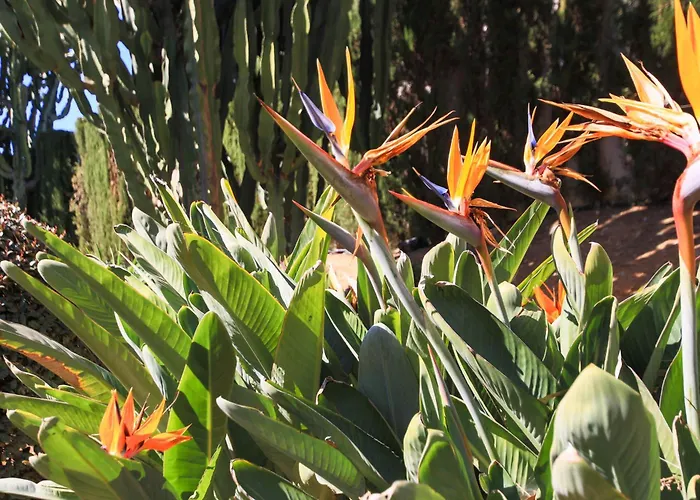 Casa Lola Costalita Эстепона