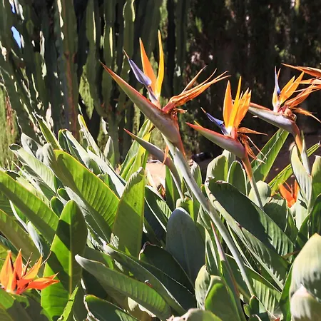 Casa Lola Costalita Estepona